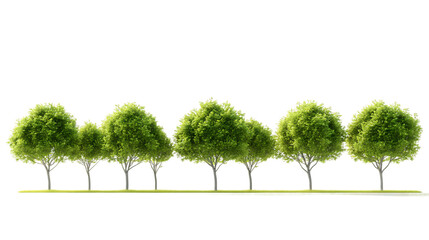 Trees Collection Greenery Nature Outdoors Line Row Isolated Landscape Illustration Green Foliage Environmental