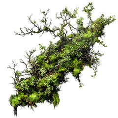 Floating Island with Trees and Moss, Isolated Nature Clipart, Tree and Moss Illustration, Fantasy Terrain Element Clipart