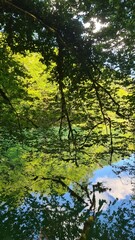 Obraz premium Le Gouffre Saint-Sauveur (résurgence de l'Ouysse)