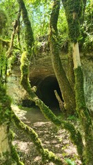L'entr&eacute;e de la Grotte Saint-Sauveur (Lot)