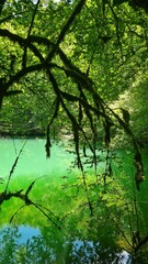 Le bassin de la résurgence de Saint-Sauveur (de l'Ouysse)