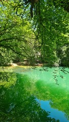 Le bassin de la résurgence de Saint-Sauveur (de l'Ouysse)