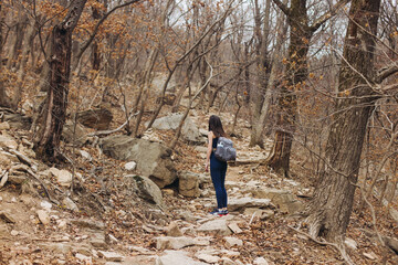 Fototapeta premium Bukhansan National Park, Seoul, Gyeonggi-do, South Korea, spring landscape view during hike to Baegundae summit peak, process of trekking and climbing to Bukhan mountain, travel and hiking in Korea