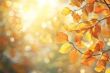 Fototapeta premium Golden autumn leaves shining in the warm sunlight