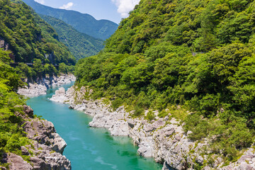 日本の風景・夏　徳島県三好市　大歩危峡