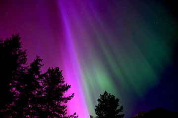 Northern Lights Pink and Green With Silhouette