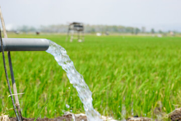 Fototapeta premium Irrigation of rice fields using pump wells with the technique of pumping water from the ground to flow into the rice fields. The pumping station where water is pumped from a irrigation canal. Pvc pipe