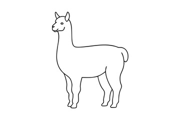 Line Drawing of Alpaca Minimalist Vector Art Illustration