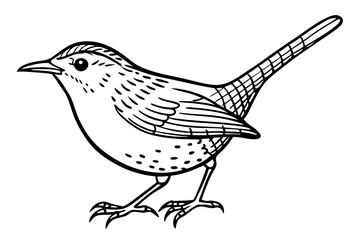 Elegant Line Drawing of a Wren Minimalist Vector Art Illustration