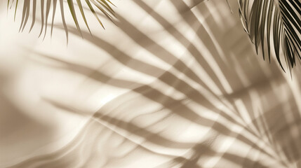 Sand background with palm leaf shadow light beige color