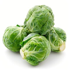Fototapeta premium Fresh green head of a cabbage in a white background.