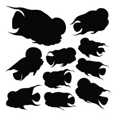 Flowerhorn fish animal silhouettes.