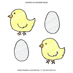 Scribble Hand Drawn chicks and chicken eggs Illustration