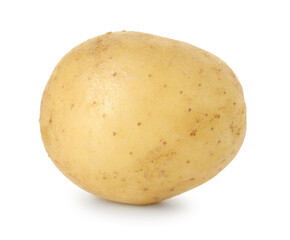 One fresh young potato isolated on white