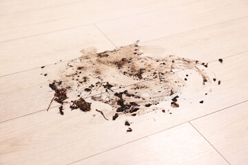 Mud stain on wooden floor indoors, closeup