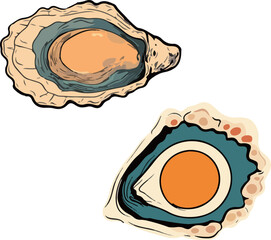 Illustration of Oysters with Shells