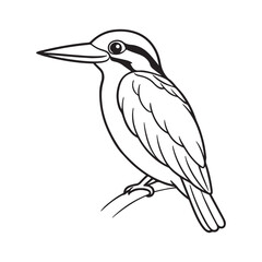 Kingfisher bird line art vector silhouette with white Background