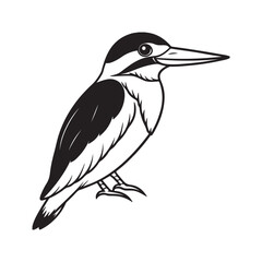Kingfisher bird line art vector silhouette with white Background