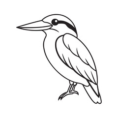 Kingfisher bird line art vector silhouette with white Background
