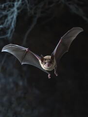 Bat in Flight, Close Up