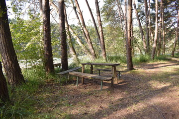 Rastbank mitten im Wald