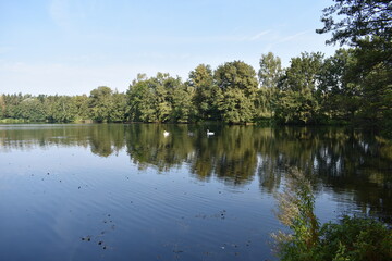 Panoramablick Natursee