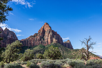 The Watchman formation at Zion NP.