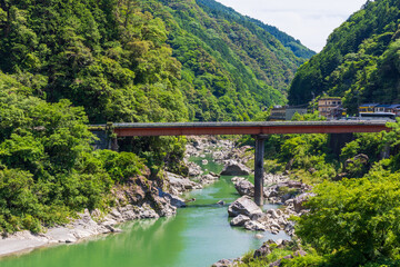 Fototapeta premium 日本の風景・夏 高知 奇跡の清流 仁淀川