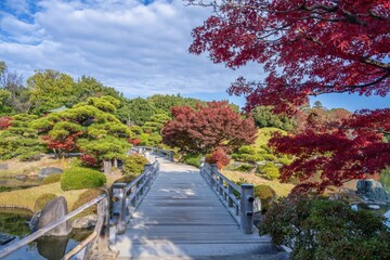 青空バックに見る静寂に包まれた秋の日本庭園の情景