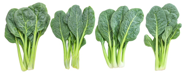 Chinese kale isolated.  Green leaves of collards pattern