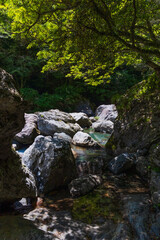 日本の風景・夏　高知　中津渓谷（仁淀ブルー）