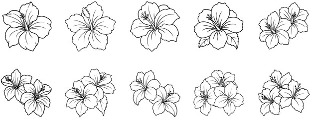 Set of Hibiscus Line Drawings, Coloring Pages
