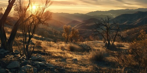 A rolling Chaparral terrain regenerating after a destructive Wildfire