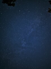 Fototapeta premium Stars