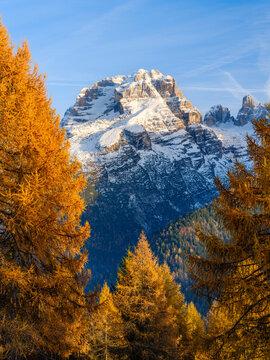 Cima Brenta. Dolomiti di Brenta from Val Rendena in the Parco Naturale Adamello Brenta, UNESCO Site. Dolomites, Trentino, Italy.