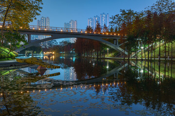 A grove of larch trees along the lake in City Park