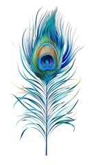 Peacock feather on a white background. Vector Illustration