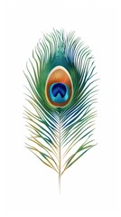 Obraz premium Peacock feather on a white background. Vector Illustration
