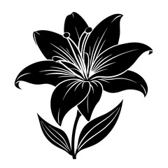 Lily flower silhouette vector illustration