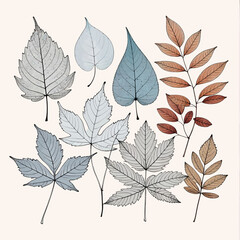 Obraz premium Collection of 12 Different Leaf Designs in Black and White