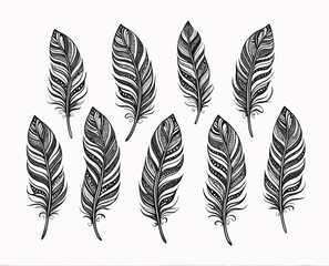 Obraz premium Collection of Black and White Feather Designs