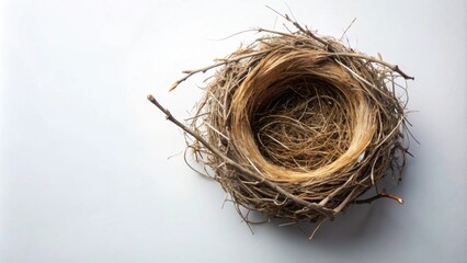 Bird's nest A delicately woven structure made by birds using twigs, leaves, and other natural materials , nature, wildlife, home