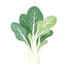 Fresh green vegetable with vibrant leaves isolated on a white background, transparent background.