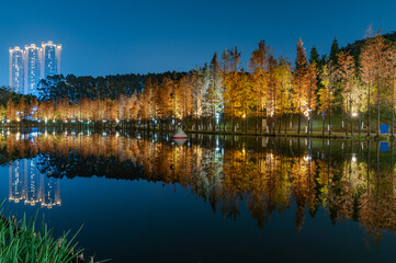 Night view of red foliage of larch by the lake in City Park