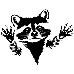 Raccoon | Wild Animal | Raccoon Paw | Wildlife | Nocturnal Mammal | Woodland Animal | Zoo Animal | Scavenger Animal | Original Illustration | Vector and Clipart | Cutfile and Stencil