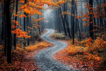 A winding dirt path through a misty autumn forest, with fallen leaves in shades of orange and red.