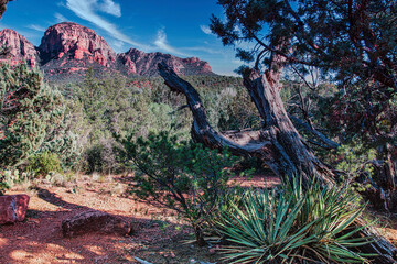 Sedona Arizona area.