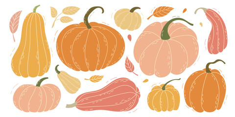 Autumn Harvest An Enchanting and Colorful Collection of Pumpkins and Gourds for Fall
