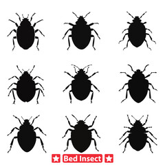 Infested Nights Bed Bug Silhouette Pack for Educational Resources