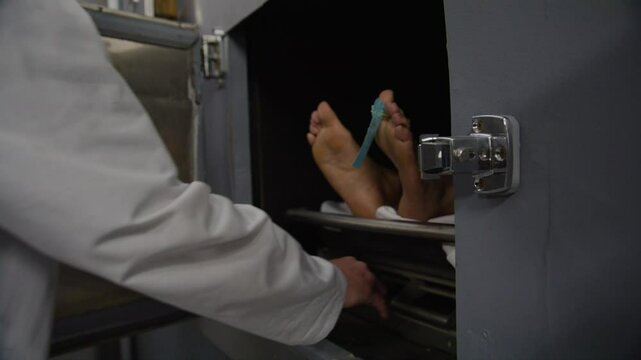 Morgue doctor taking corpse out of cooler